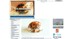 Desktop Screenshot of les-orgonites.com